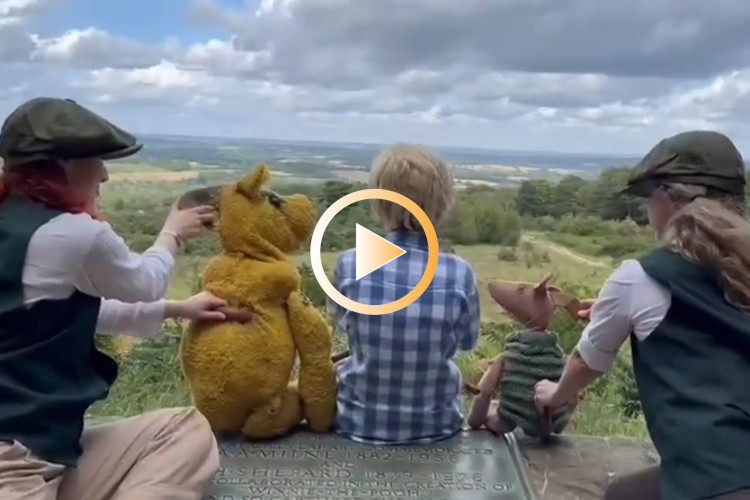 Winnie the Pooh